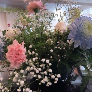 Meet your Posher, Angelina